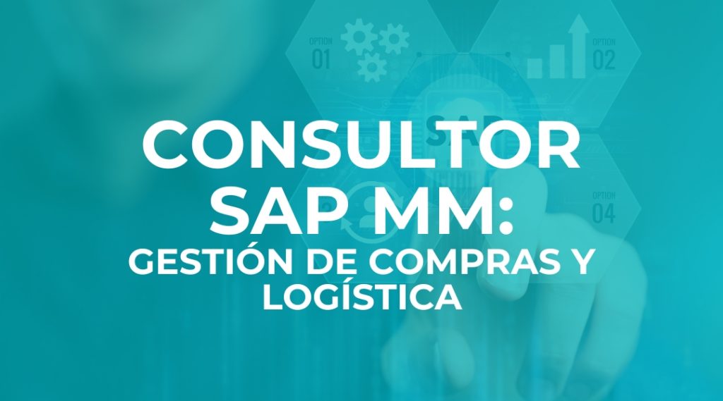 Consultor SAP