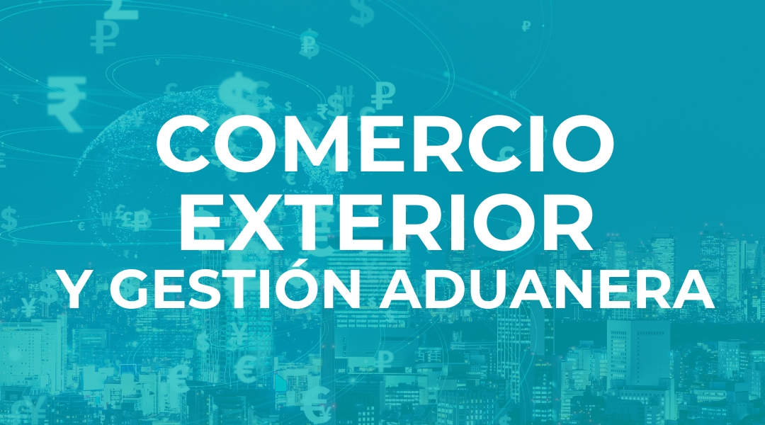 Comercio exterior y gestión aduanera 