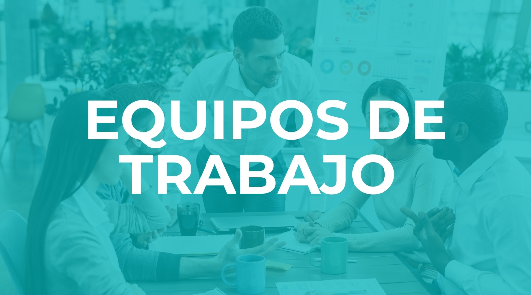 EQUIPOS DE TRABAJO<br />
